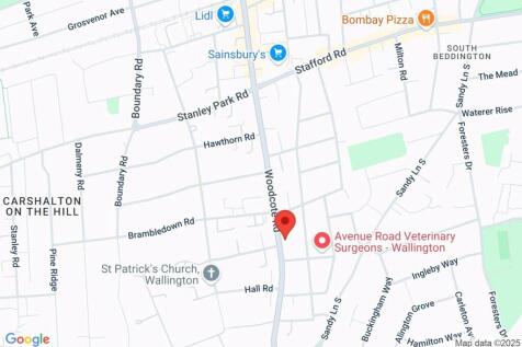 Google Maps Image