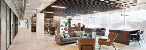 Serendipity Labs XQ