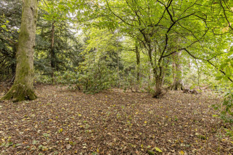 Property Image 39