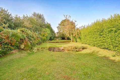 Rear Garden Upper