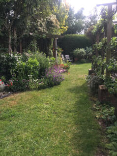 Garden 3