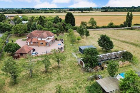 Aerial Shot 