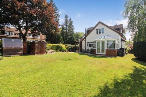 Rear Garden 4