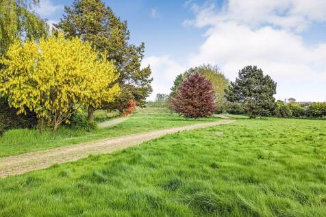 Paddock Spring Time