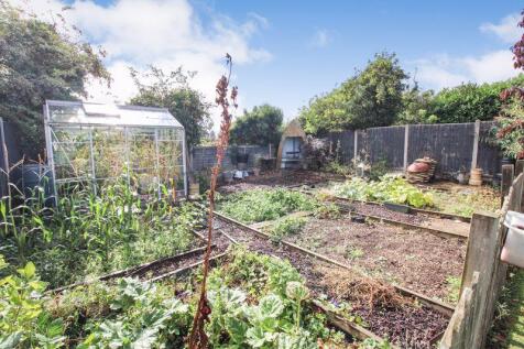 Rear Garden Vegetable Plot