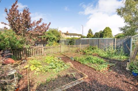 Rear Garden Vegetable Plot