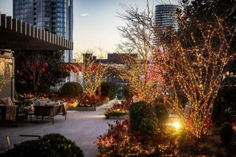 Roof Terrace