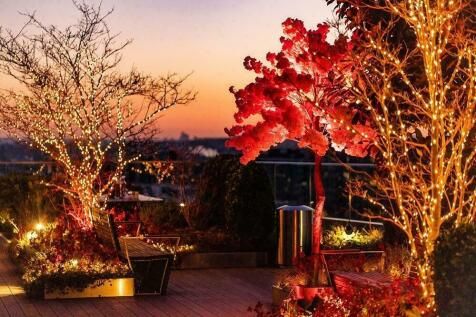 Roof Terrace