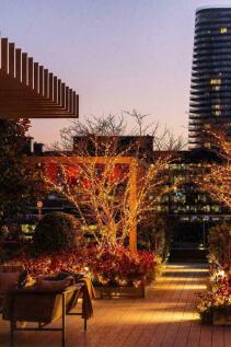 Roof Terrace