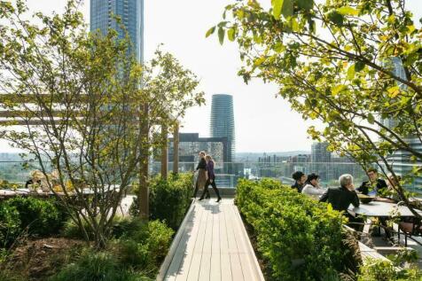 Roof Terrace