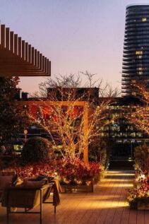 Roof Terrace