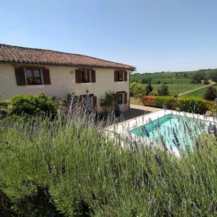 Property Image 29
