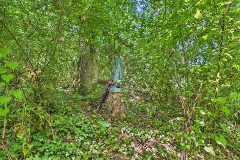 Property Image 54