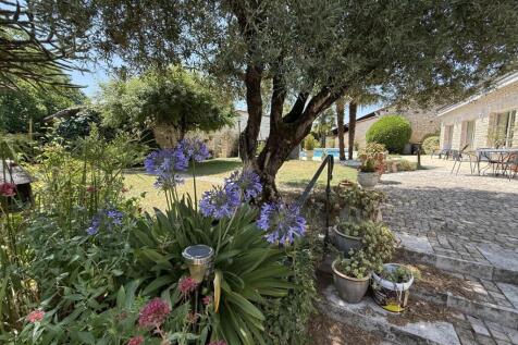 Property Image 17