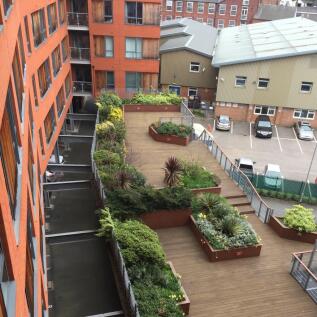 communal garden