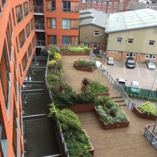 communal garden