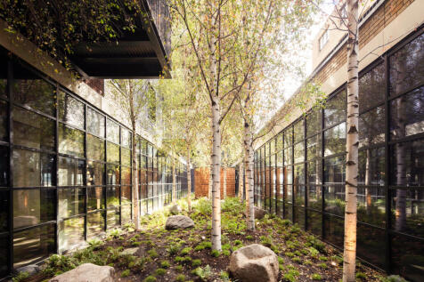 The Courtyard
