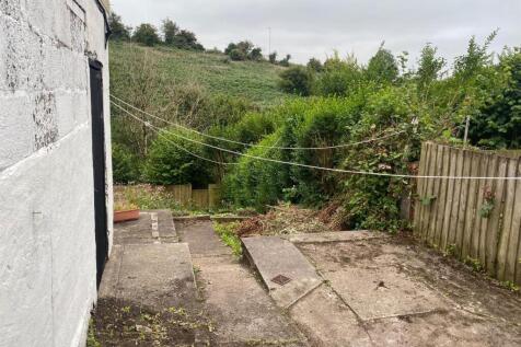 garden.jpeg