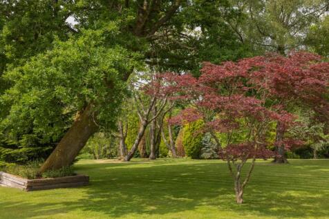 Property Image 26