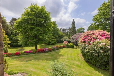 Property Image 39