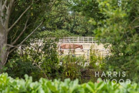 Property Image 32