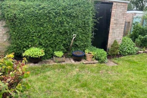 Back Garden