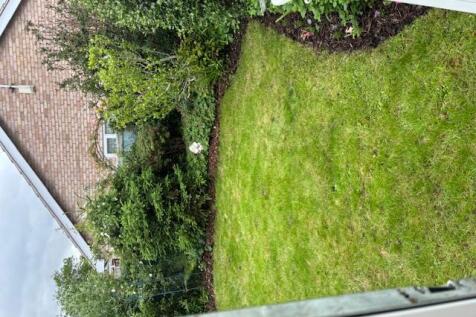 Back Garden