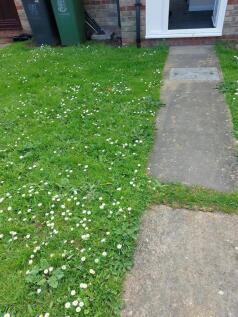 Front garden