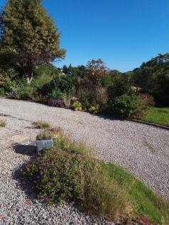 colourful front border &amp; driveway