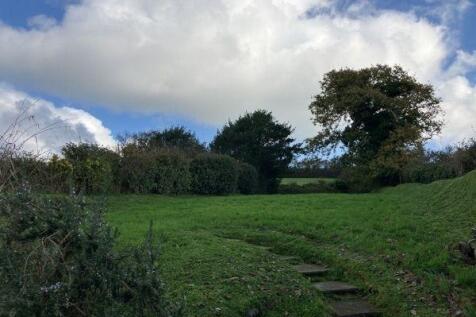 visitors: deer, woodpeckers, pheasants