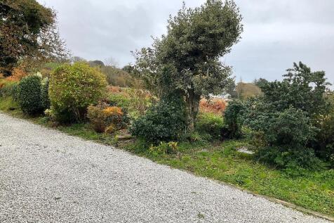 driveway border: entertaining birdlife