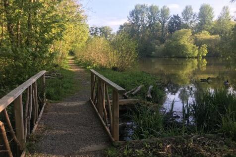 Park Lake