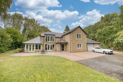 Property Image 47