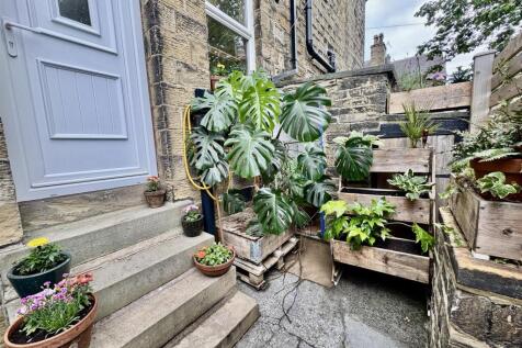 Rear Yard