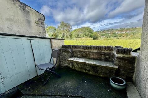 Rear Yard