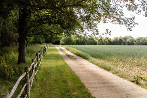 Property Image 39