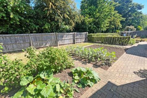 Garden1.jpg