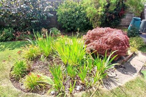 Garden 3 pond.jpg
