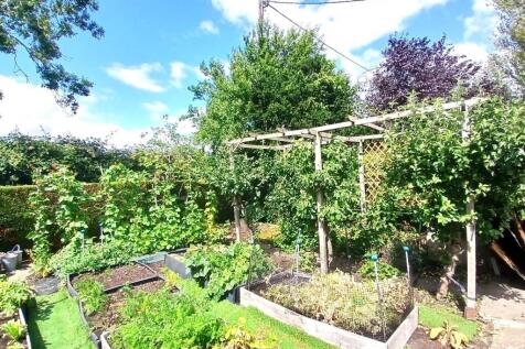 Garden 4.jpg