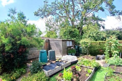 Garden 5.jpg