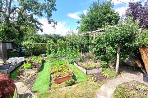 Garden 6.jpg