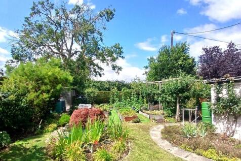 Garden 7.jpg