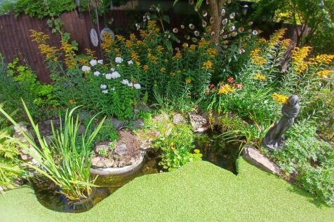 Garden Pond.jpg