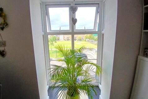 Dining Window.jpg