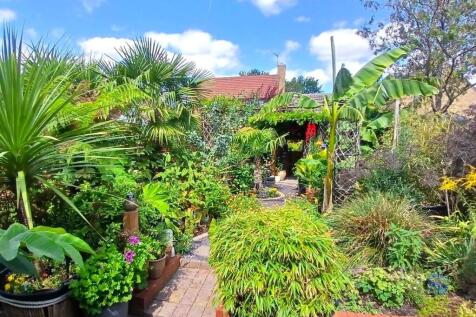 Garden.jpg