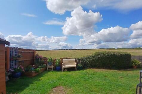 Garden 2.jpg