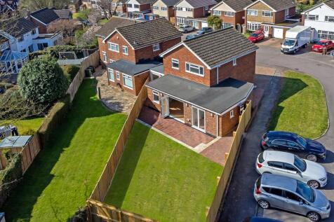 4Hornbeams-5.jpg