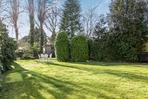 Garden view 1
