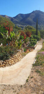 Image 15