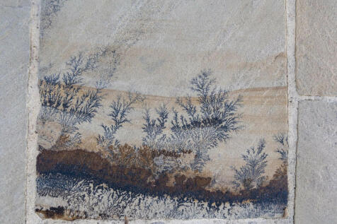 Image 14
